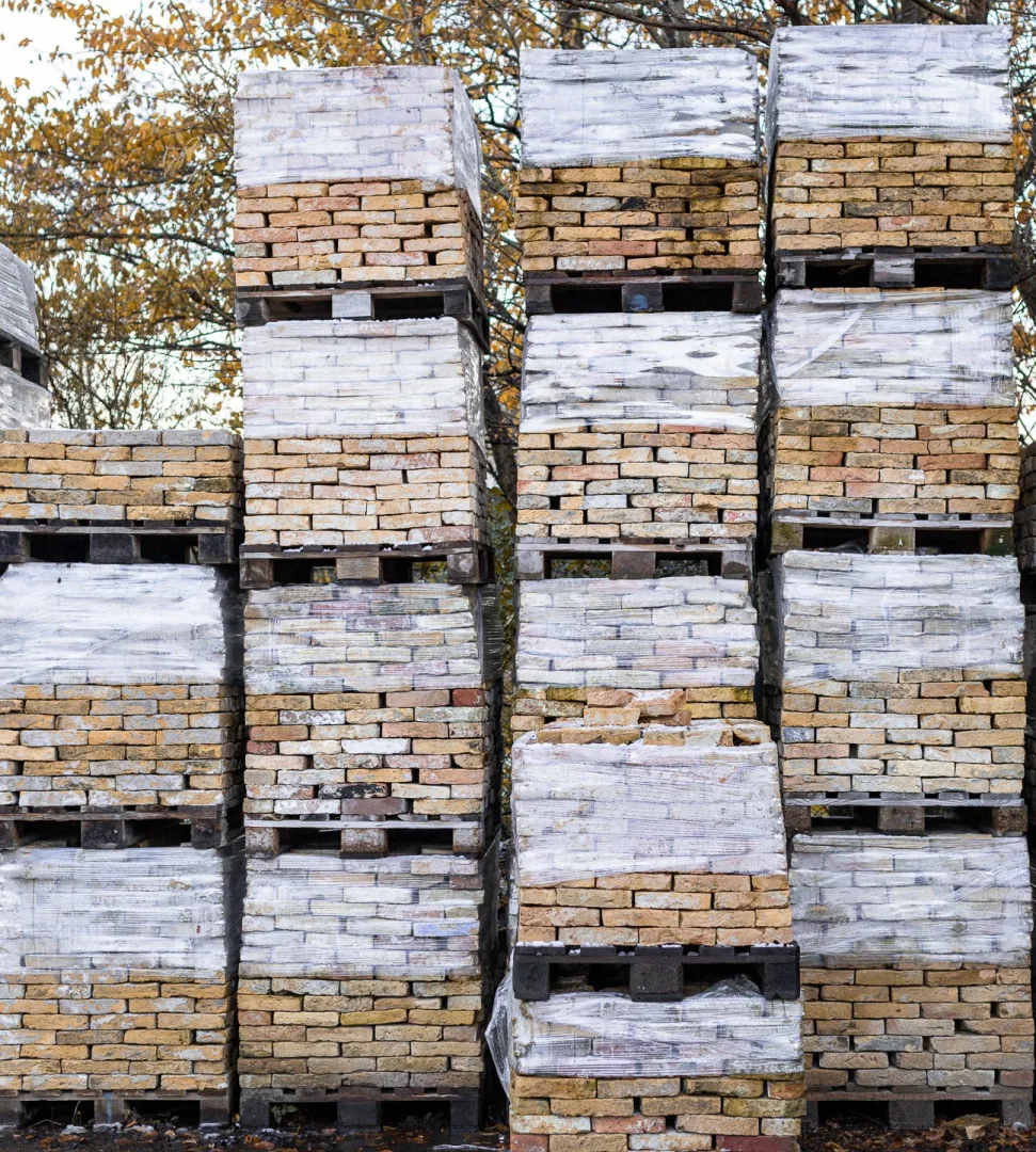 Oude geeltjes bont gekleurd